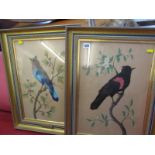 BIRD FEATHER COLLAGES, pair of gilt framed bird panels "Red wing Blackbird" and "Rouler Jay", 19"