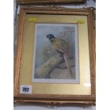 ARCHIBALD THORBURN, pair of pencil signed colour prints "Bird Studies", 6.5" x 4.5"