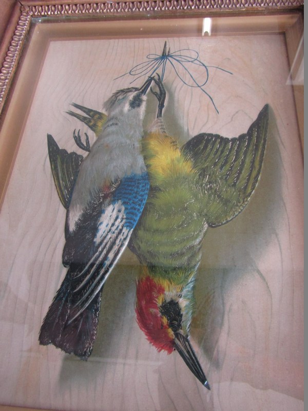 STILL LIFE GAME, pair of feather collages of Woodpeckers, 15" x 11" - Image 2 of 3