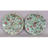A PAIR OF CELADON CIRCULAR PLATES enamelled with brilliant coloured birds and flowers, 10in high.