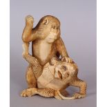 A GOOD QUALITY JAPANESE MEIJI PERIOD STAINED IVORY OKIMONO OF A MONKEY ATTACKING A KAPPA, the