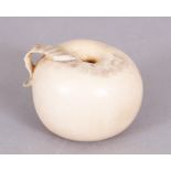 A JAPANESE MEIJI PERIOD IVORY CARVING OF AN APPLE, 2.3in wide at widest point & 1.8in high.