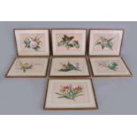 A SET OF SEVEN PICTURES OF FLOWERS on rice paper.