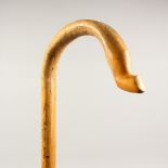 A SHEPHERDS CROOK. 55ins long.