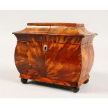 A REGENCY TORTOISESHELL TWO-DIVISION TEA CADDY, on ball feet. 6.75ins.