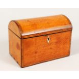 A GEORGE III SATINWOOD TWO-DIVISION TEA CADDY with domed top. 7ins long. Provenance: Purchased