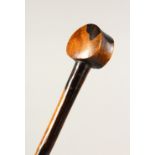 AN AFRICAN HARDWOOD WALKING STICK/THROWING CLUB, with flattened disc shape pommel. 32.5ins long.