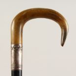 A RHINO HORN HANDLED WALKING STICK, with silver collar. 2ft 10ins long.