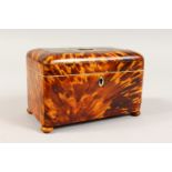 A REGENCY TORTOISESHELL TWO-DIVISION TEA CADDY, on ball feet. 6.5ins.