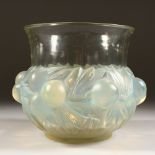 A LALIQUE VASE "PRUNES" TINTED. Etched R. LALIQUE, FRANCE. No. 1037. 17cms high. Illus. page 446