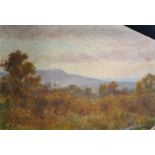 20th Century English School. A River Landscape, Oil on Unstretched Canvas, 15" x 21", and a very