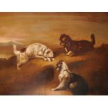 Early 19th Century English School. Three Terriers by a Rabbit Hole, Oil on Canvas, 28" x 36".