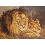 Emily Brenske (20th Century) British. A Lion and Lioness, Oil on Canvas, Signed and Dated 1913,