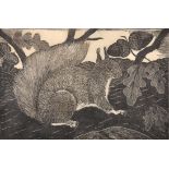 Eric Fitch Daglish (1894-?) British. "Red Squirrel", Woodcut, Signed and Inscribed in Pencil, 2.