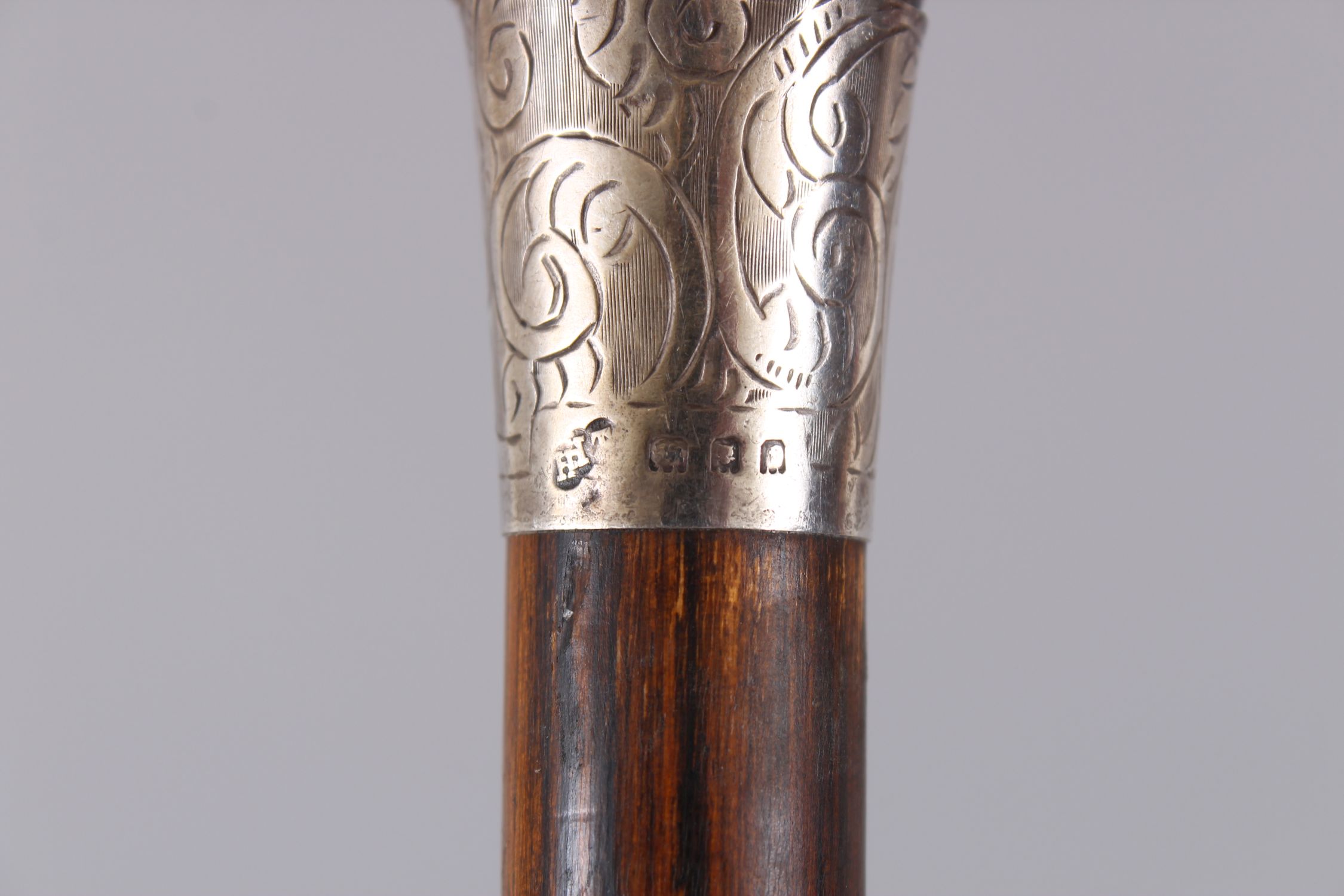 A RHINO HANDLED CANE, carved as a dog with silver band, 93cm long. - Image 3 of 4