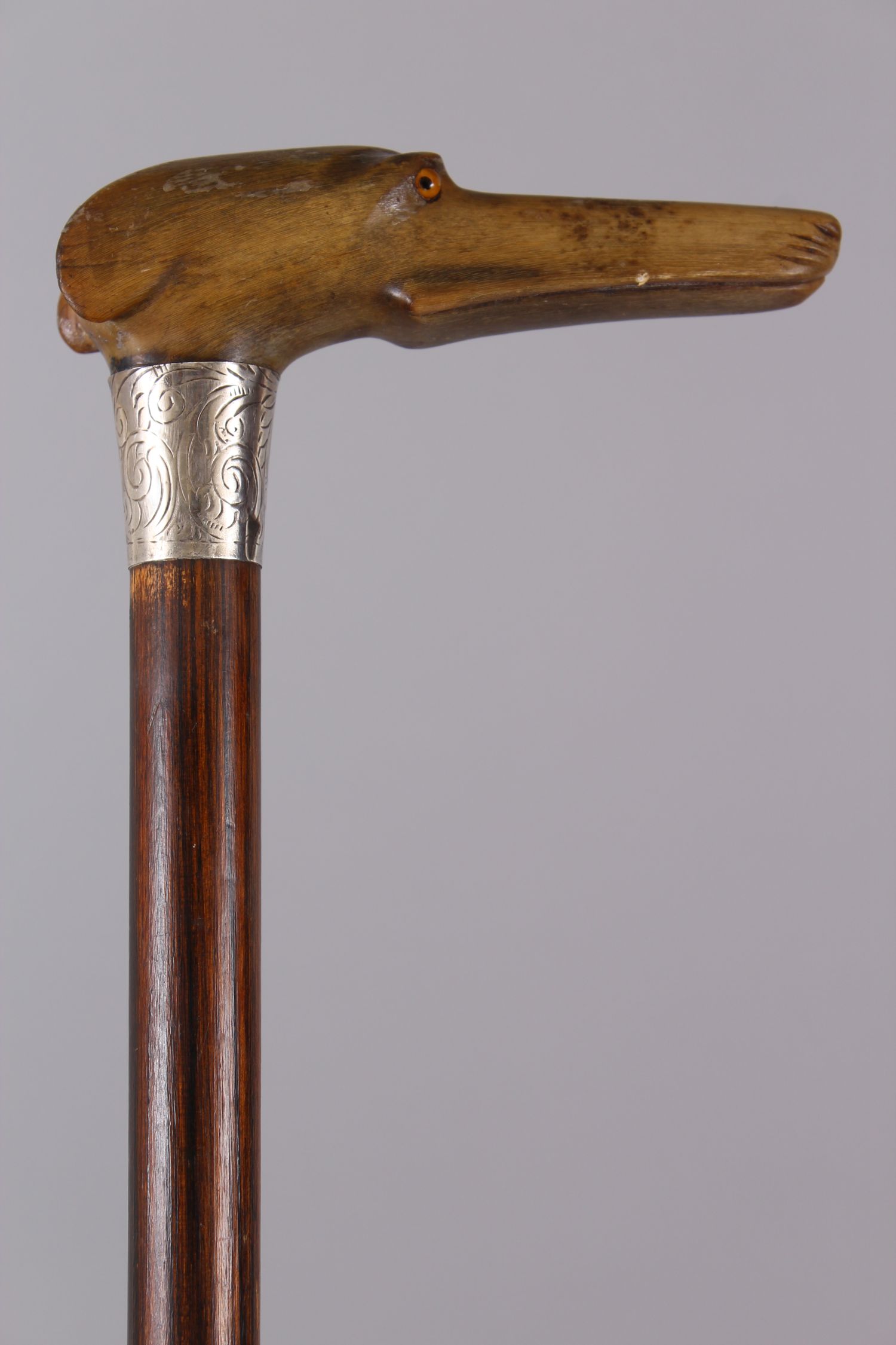 A RHINO HANDLED CANE, carved as a dog with silver band, 93cm long. - Image 2 of 4