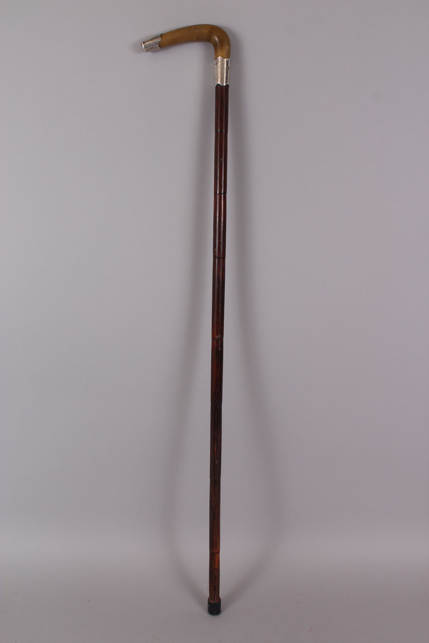 A RHINO HANDLED CANE, carved with a curving handle, silver tip and silver band. 84cm long. - Image 4 of 4