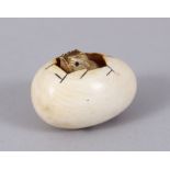 A JAPANESE IVORY NETSUKE, chick in an egg.