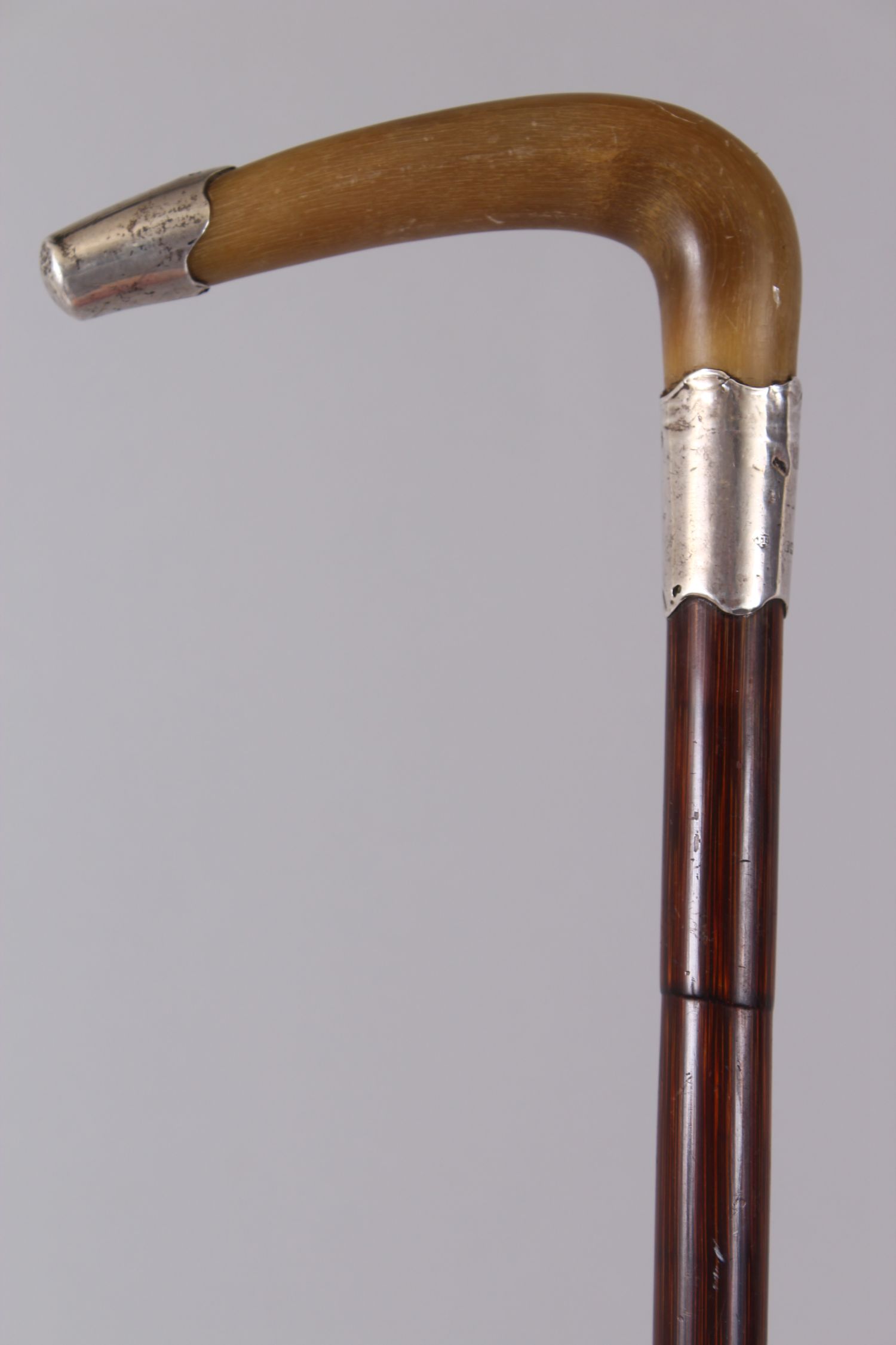 A RHINO HANDLED CANE, carved with a curving handle, silver tip and silver band. 84cm long. - Image 2 of 4