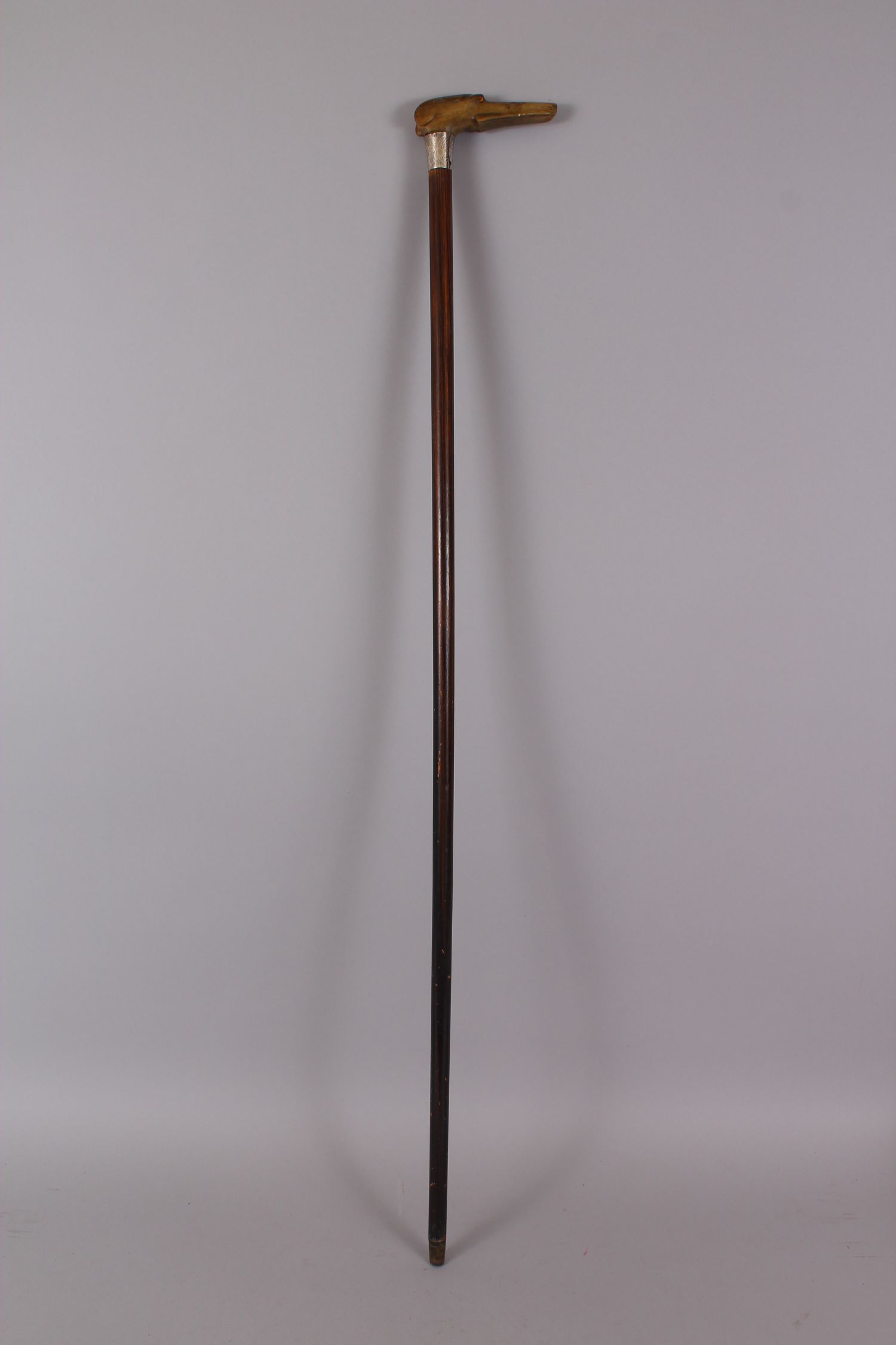 A RHINO HANDLED CANE, carved as a dog with silver band, 93cm long. - Image 4 of 4