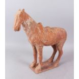 A TANG TERRACOTTA POTTERY HORSE. 35cm high, 35 cm long.