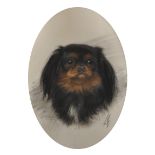 20th Century English School. Study of a Pekingese Dog, Pastel (possibly over a print base),