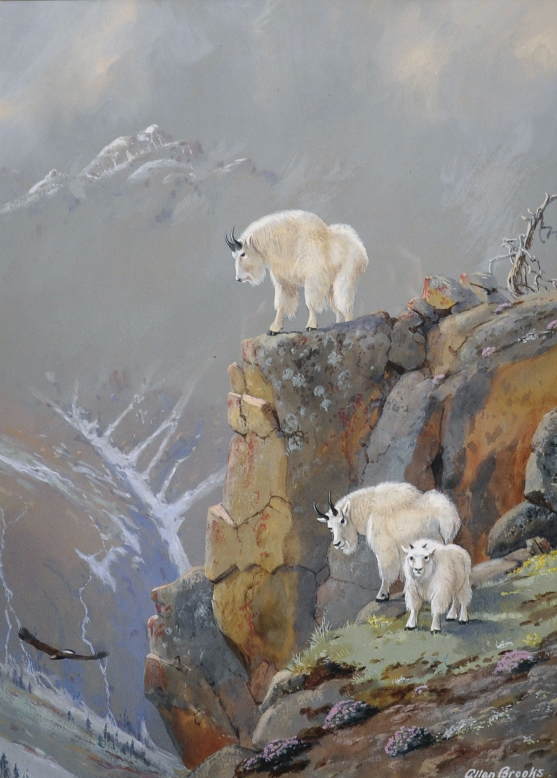 Allan Brooks (1869-1946) Canadian. Mountain Goats, with an Eagle Flying in the Valley of a Mountain,