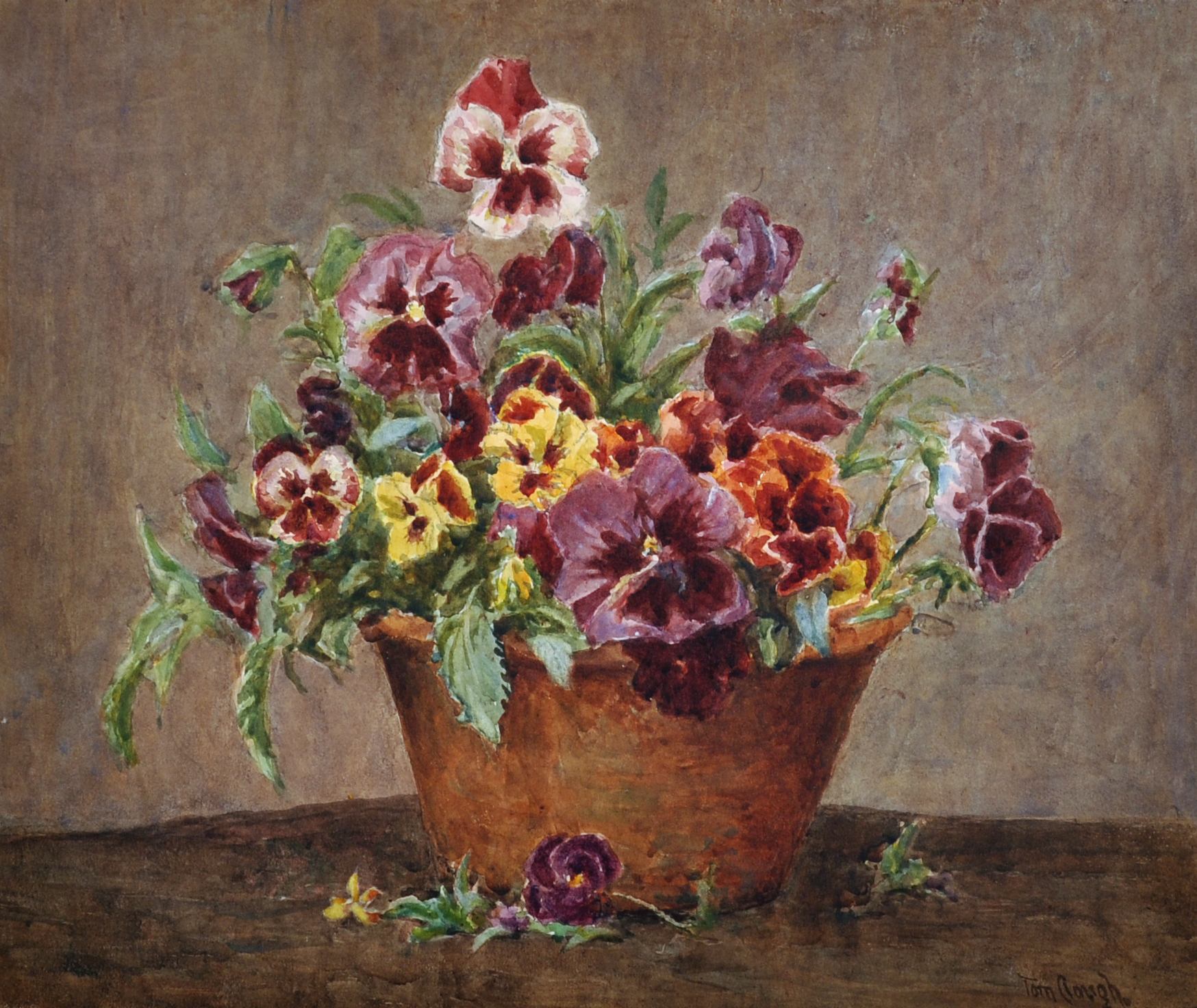 Tom Clough (1867-1943) British. Still Life of Pansies in a Brown Pot, Watercolour, Signed, 13" x