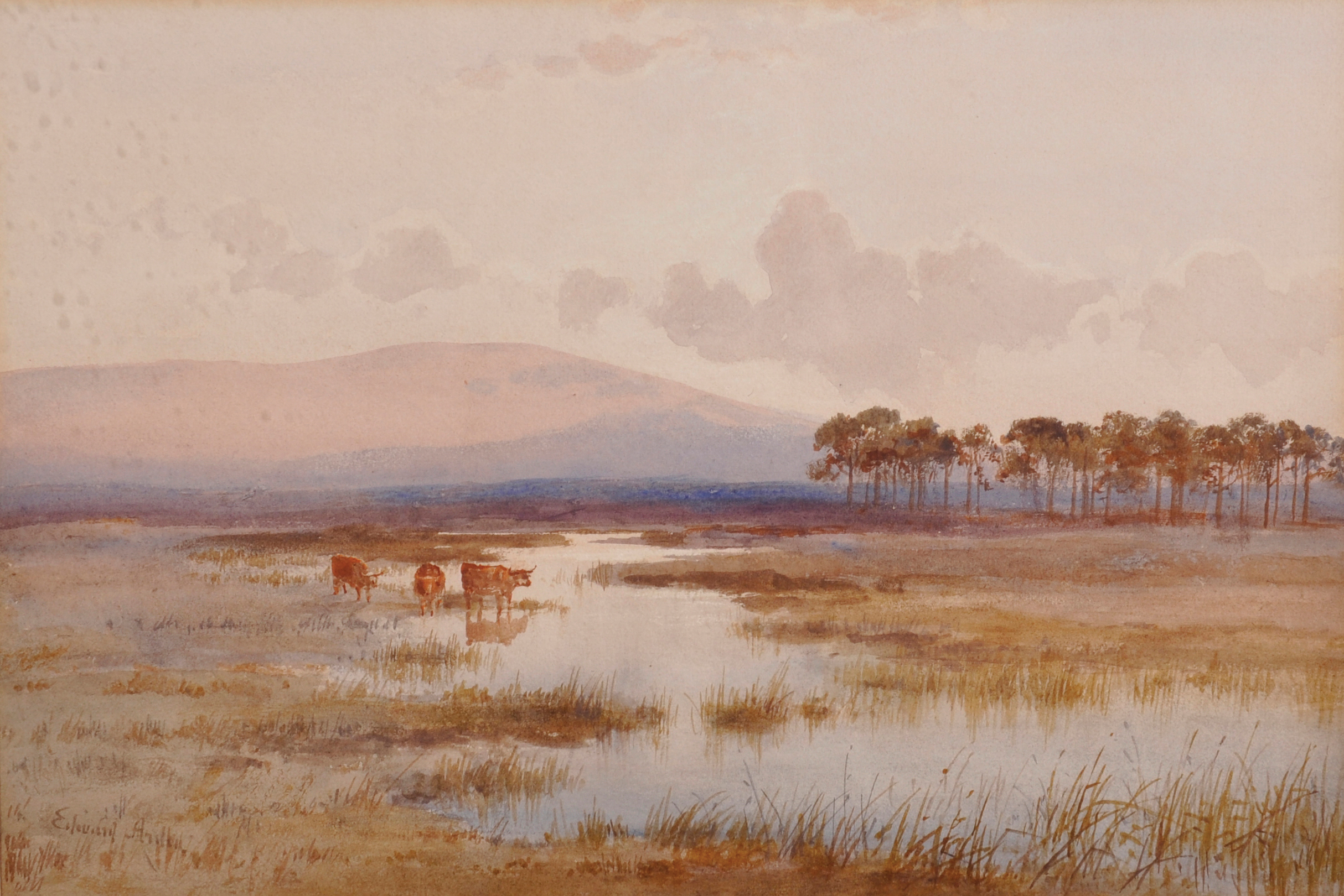 Edward Tucker (1830-1909) British. "View on Loch Long", Watercolour, Signed, and Inscribed on a - Image 2 of 7