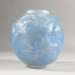 A LALIQUE VASE "FORMOSE" TINTED BLUE. Etched R. LALIQUE, FRANCE. No. 934. 17cms high. Illus. page