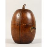 A GEORGIAN STYLE MELON SHAPED TEA CADDY. 7ins high.