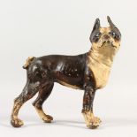 A PAINTED CAST IRON MODEL OF A BULLDOG. 10ins long.