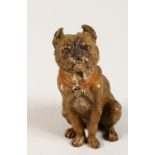 A VIENNA STYLE COLD PAINTED BRONZE SEATED DOG. 4ins high.