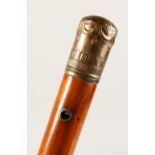 A 19TH CENTURY MALACCA WALKING STICK, with engraved gilt metal pommel and lanyard holes. 31.5ins