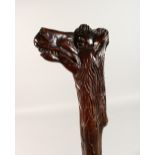 AN UNUSUAL, LARGE WOODEN CLUB / WALKING STICK, carved with an animal head. 47ins long.