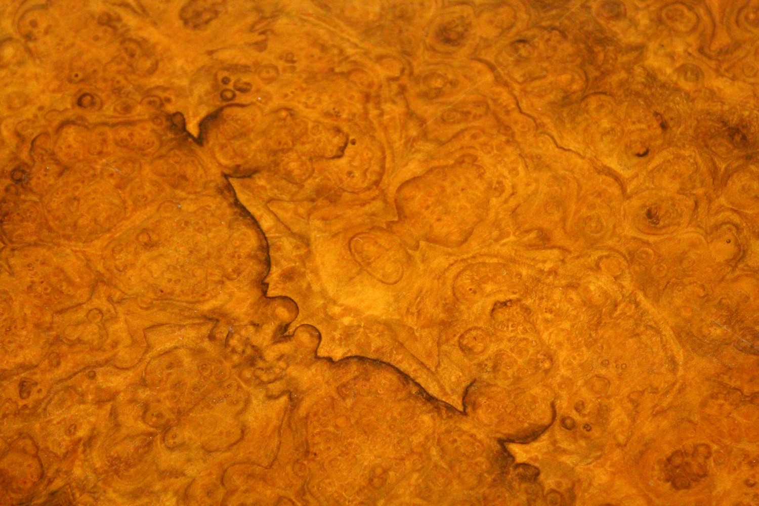 A GOOD VICTORIAN BURR WALNUT SHAPED TOP FOLDOVER CARD TABLE, with a pair of turned and carved column - Image 3 of 12