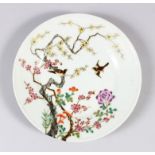 A CHINESE POLYCHROME ENAMEL PORCELAIN DISH, decorated with birds amongst flora, six-character mark