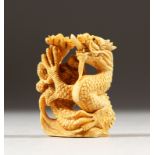 A JAPANESE CARVED IVORY NETSUKE OF A DRAGON, himatoshi formed at the base, signed to the base, 4.6cm