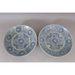 A PAIR OF 18TH / 19TH CENTURY CHINESE BLUE & WHITE PROVINCIAL PORCELAIN DISHES, 25.4cm diameter.