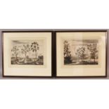 AN INTERESTING PAIR OF EARLY FRAMED EUROPEAN CHINESE SUBJECT COLOURED ENGRAVINGS, depicting