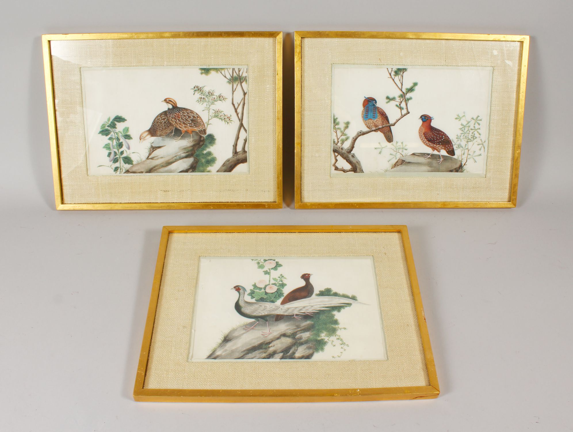 THREE GOOD JAPANESE PAINTINGS ON RICE PAPER, depicting scenes of pheasants and quails amidst trees