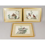 THREE GOOD JAPANESE PAINTINGS ON RICE PAPER, depicting scenes of pheasants and quails amidst trees