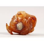 A CHINESE AGATE CARVING OF A FROG RESTING ON TOP OF A POMEGRANATE, together with a wood stand, the