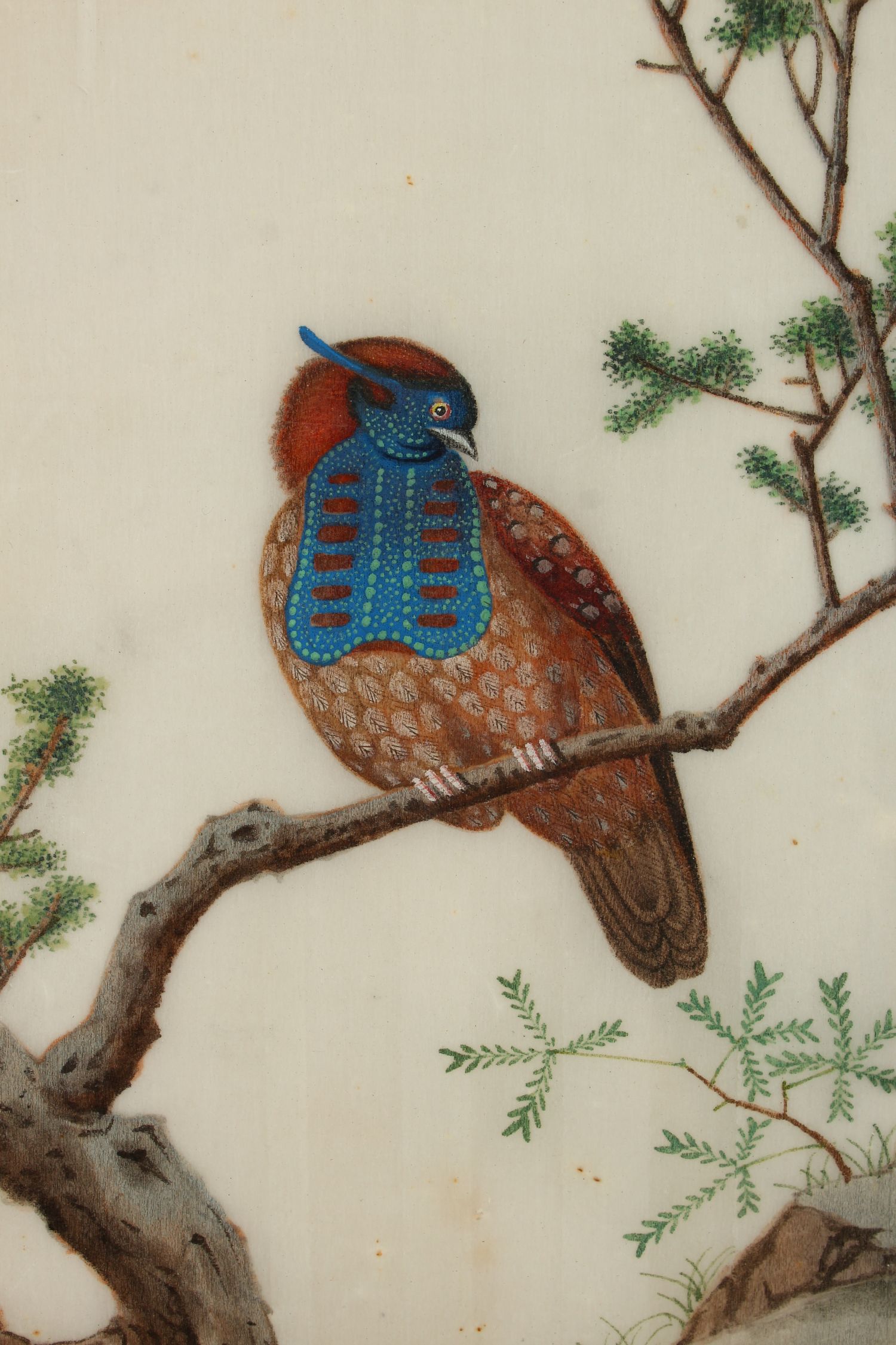 THREE GOOD JAPANESE PAINTINGS ON RICE PAPER, depicting scenes of pheasants and quails amidst trees - Image 5 of 6