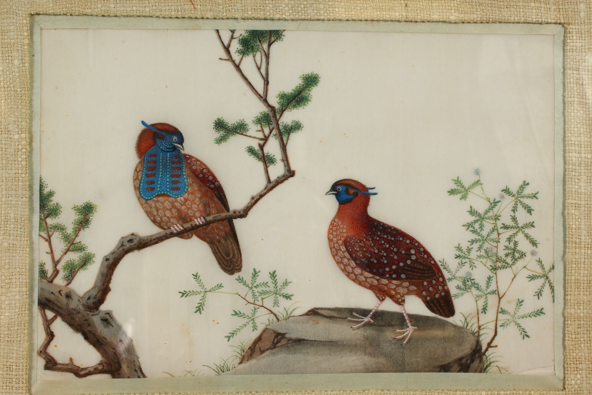 THREE GOOD JAPANESE PAINTINGS ON RICE PAPER, depicting scenes of pheasants and quails amidst trees - Image 3 of 6