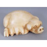 AN EARLY 20TH CENTURY SIGNED JAPANESE IVORY NETSUKE OF A RECLINING SOW, the base with an engraved