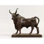 JEAN BAPTISTE CLESINGER A FINE BRONZE BULL, standing on a rectangular base, TAUREAU ROMAIN. 16cms