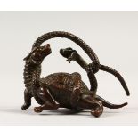 A SMALL CHINESE BRONZE GROUP, a turtle fighting a snake. 7cms wide.