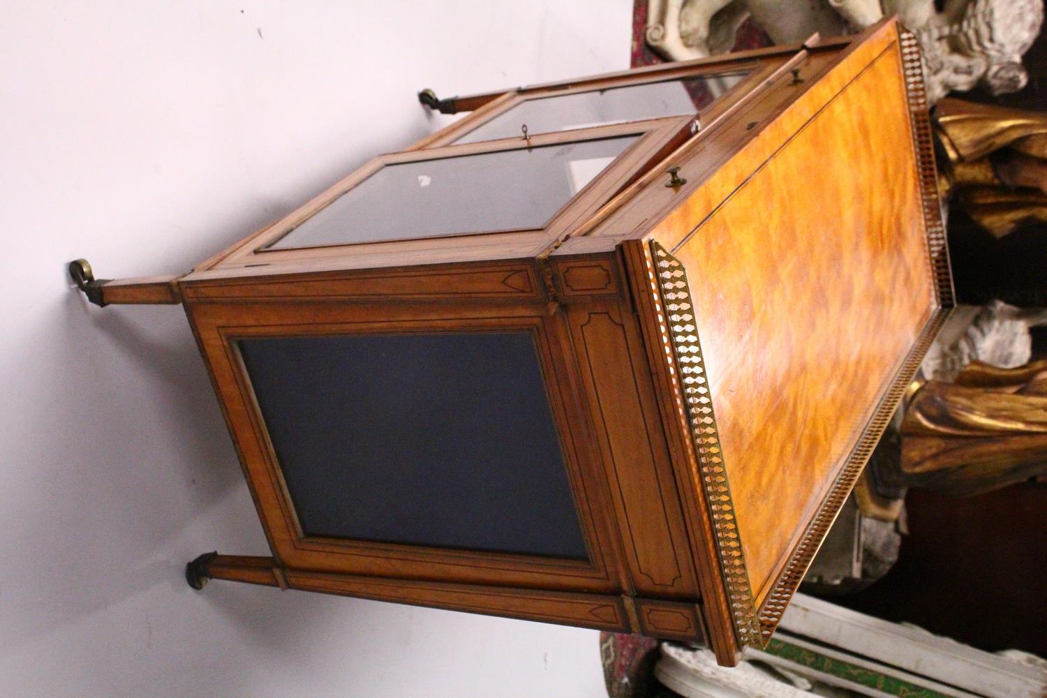 A GOOD 19TH CENTURY SATINWOOD CABINET, with a brass gallery, single frieze drawer over a pair of - Image 7 of 8