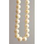 A STRING OF SOUTH SEA PEARLS.